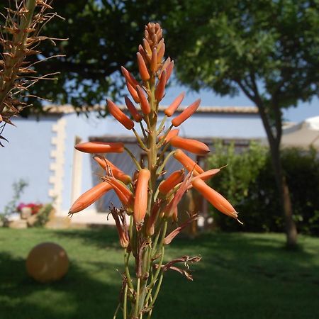 Terre Iblee Resort Chiaramonte Gulfi Kültér fotó