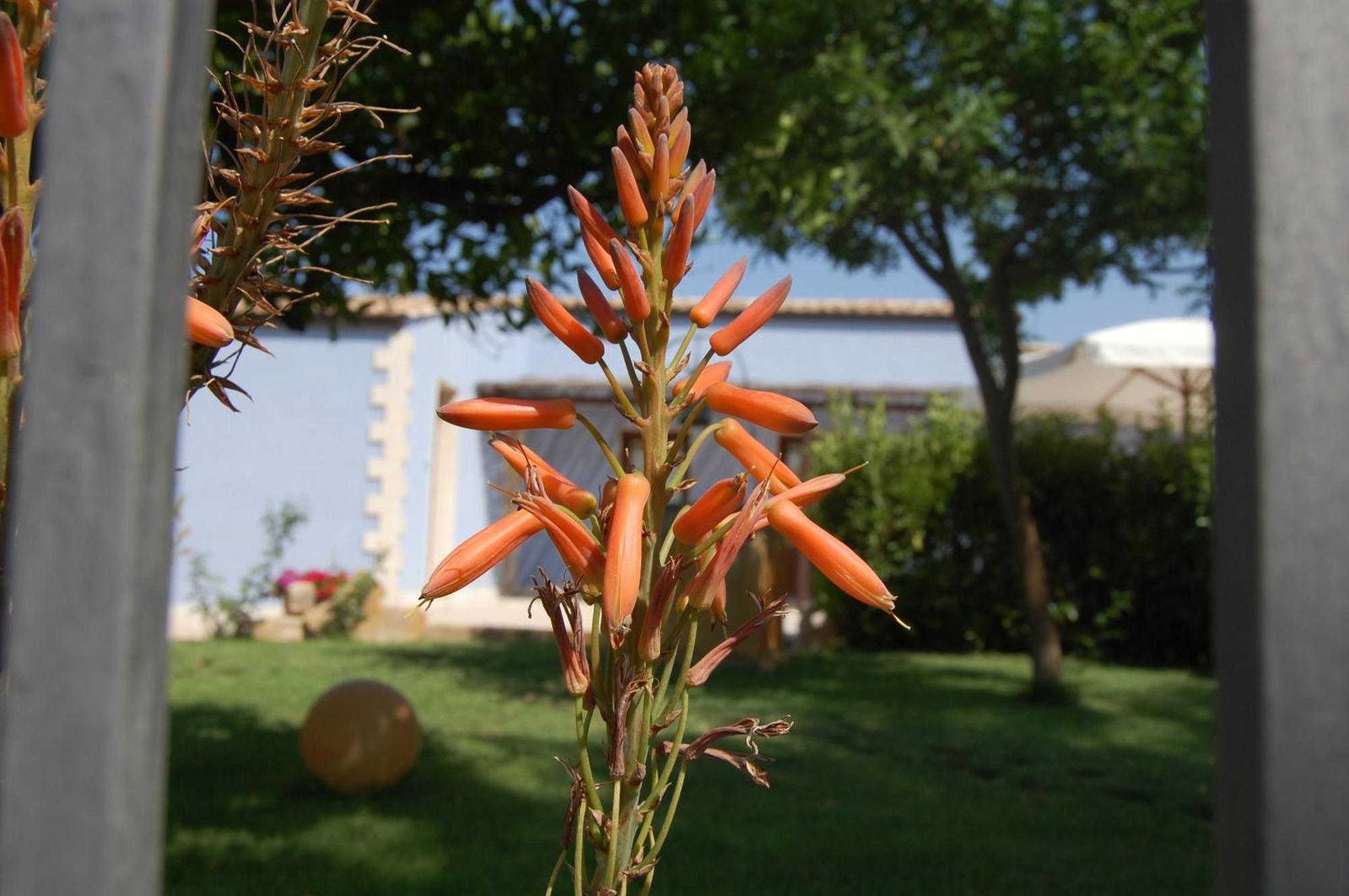 Terre Iblee Resort Chiaramonte Gulfi Kültér fotó
